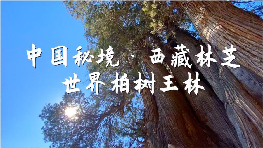 你为什么要熬夜？游戏画面