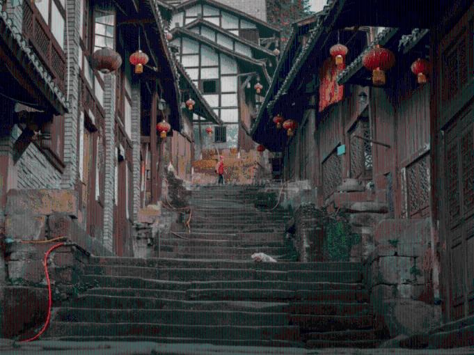 逃离金色蜜蜂森林